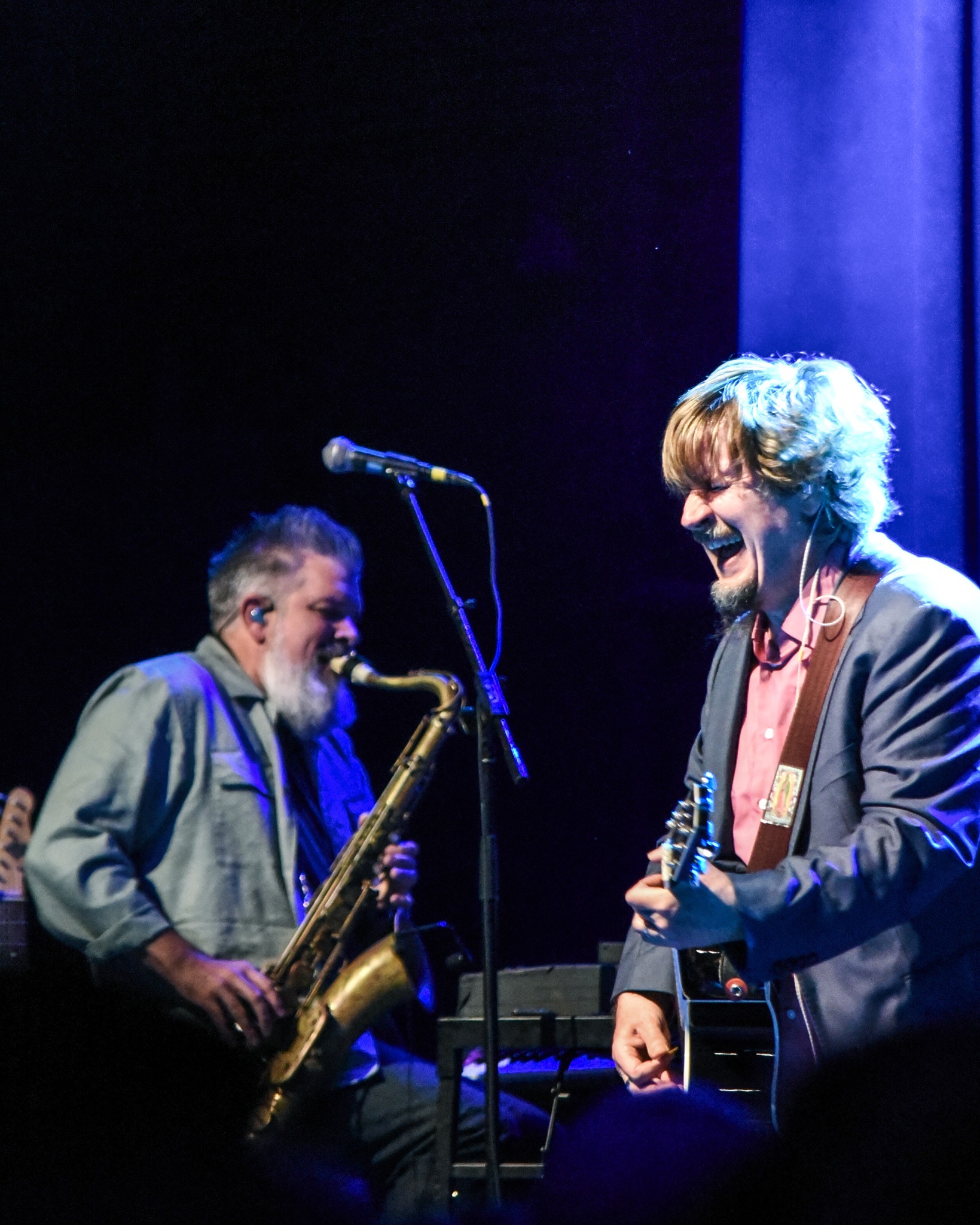 The Mountain Goats